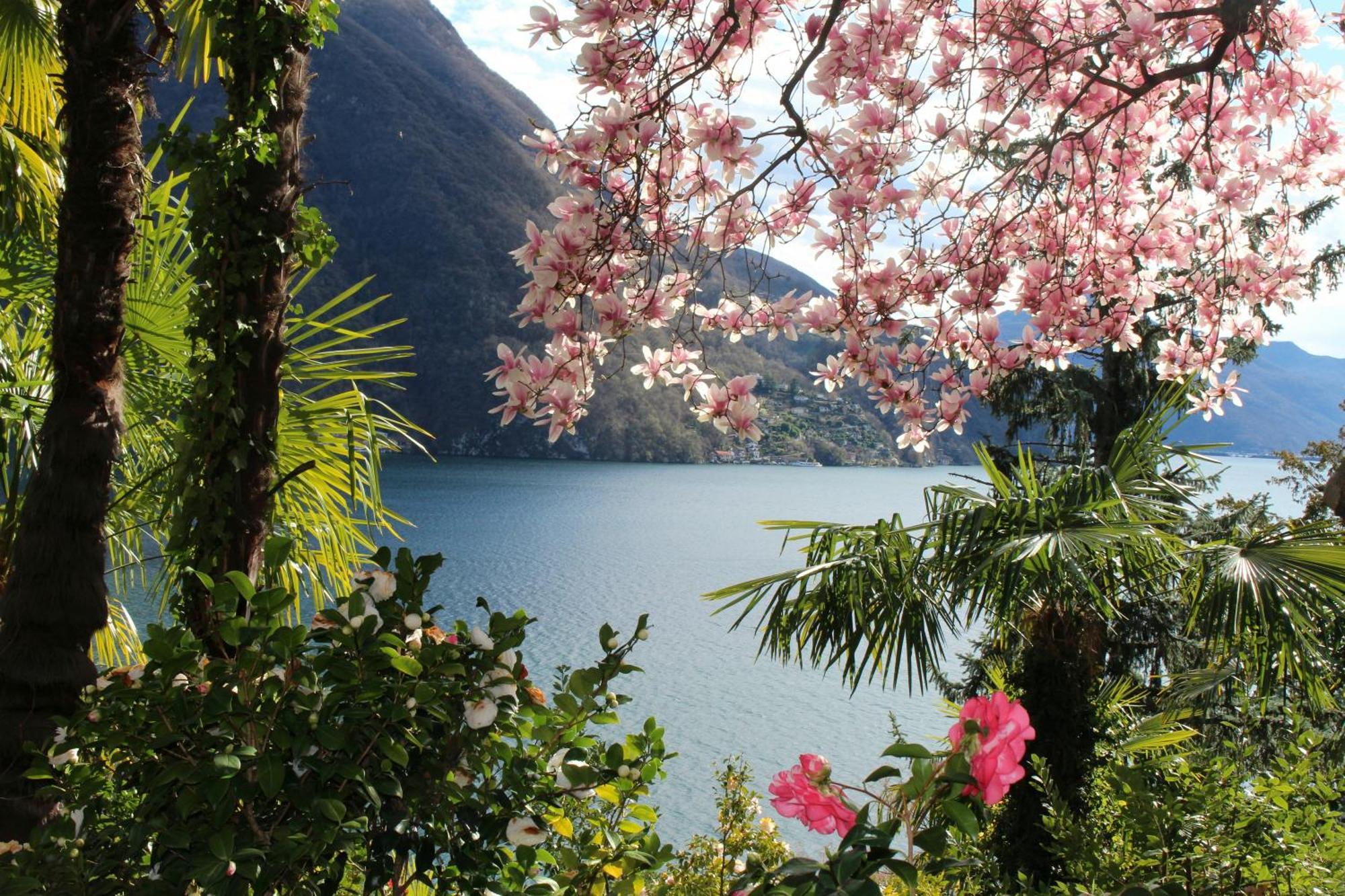 Barony Le Pergole Holiday Apartments Lugano Extérieur photo